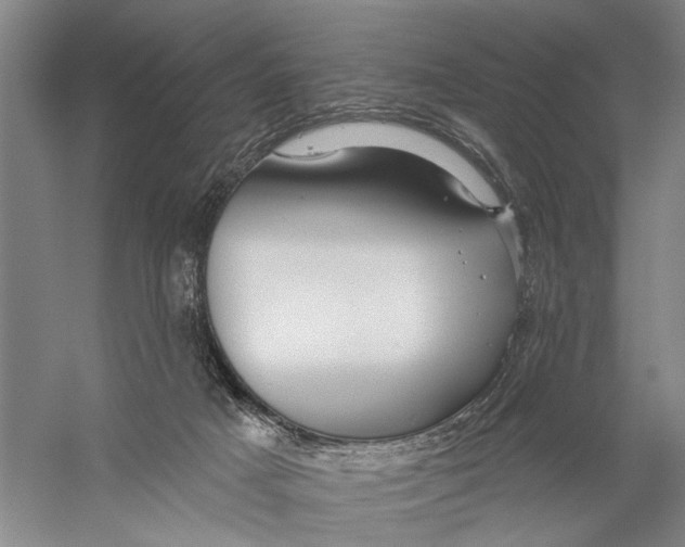 X0000056330025200509232025