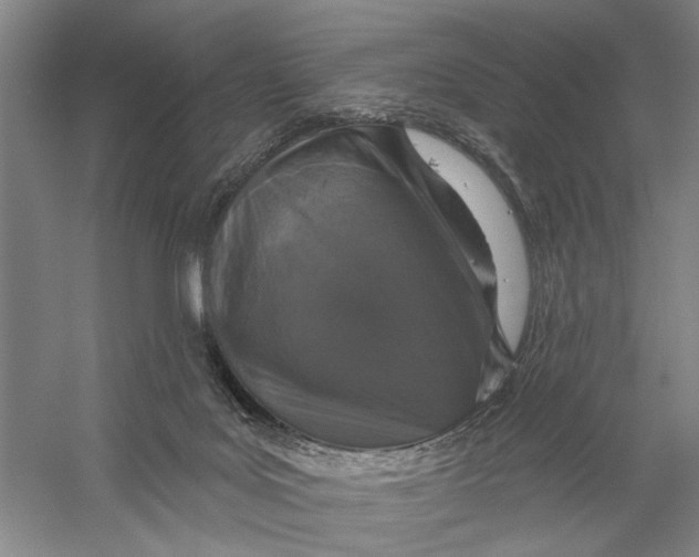 X0000056330027200509232025