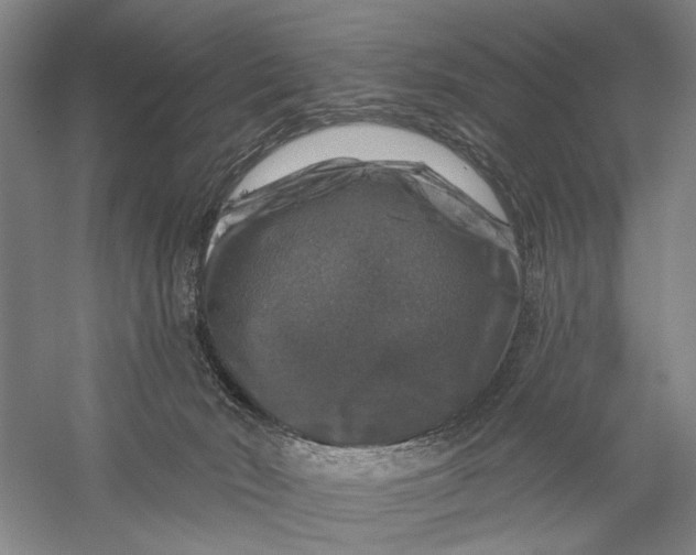 X0000056330030200509232024