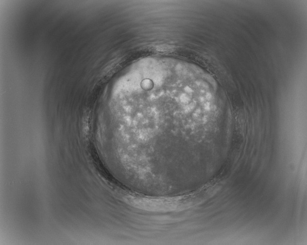 X0000056330032200509232024