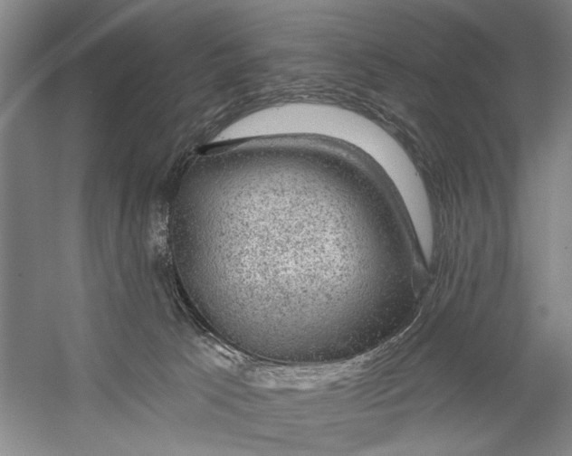 X0000056330033200509232024