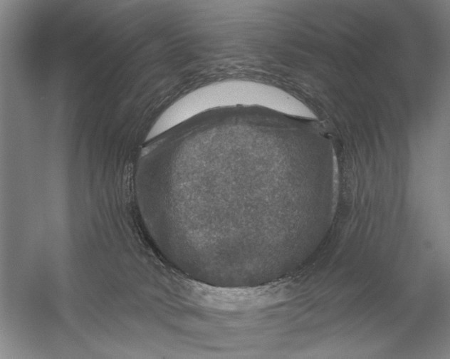 X0000056330034200509232024