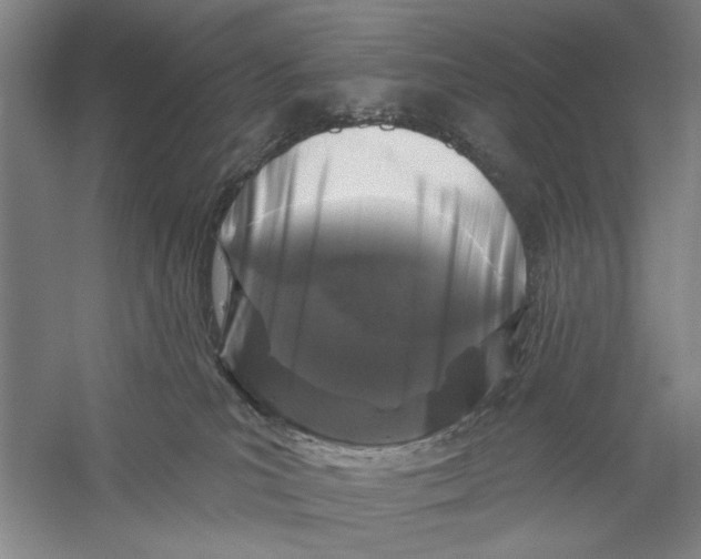 X0000056330039200509232024