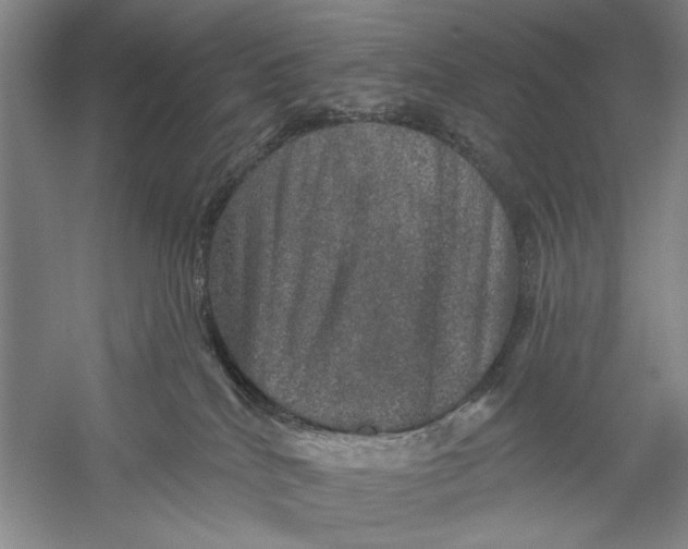 X0000056330040200509232024