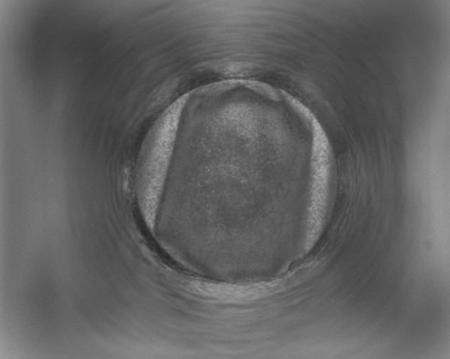 X0000056330044200509232024