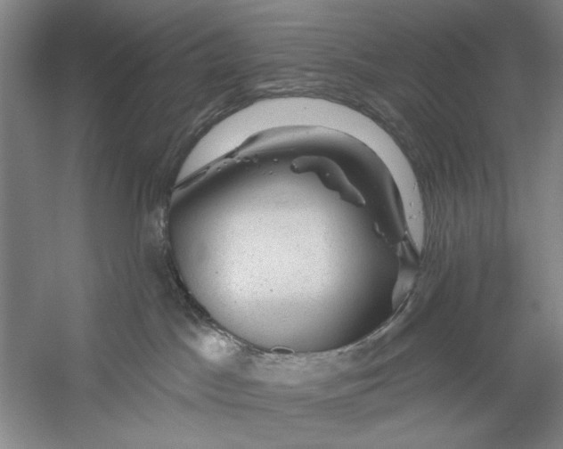 X0000056330045200509232024