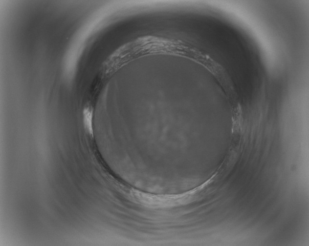 X0000056330047200509232024