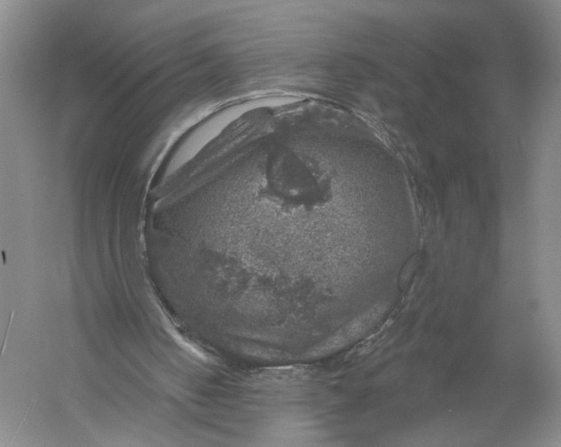 X0000056330050200509232023