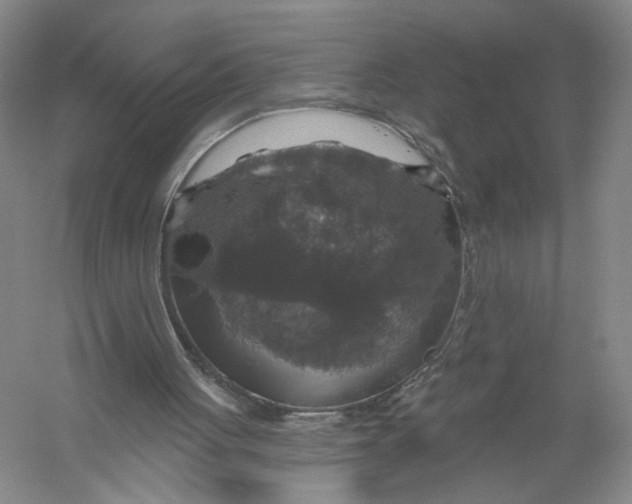 X0000056330051200509232023