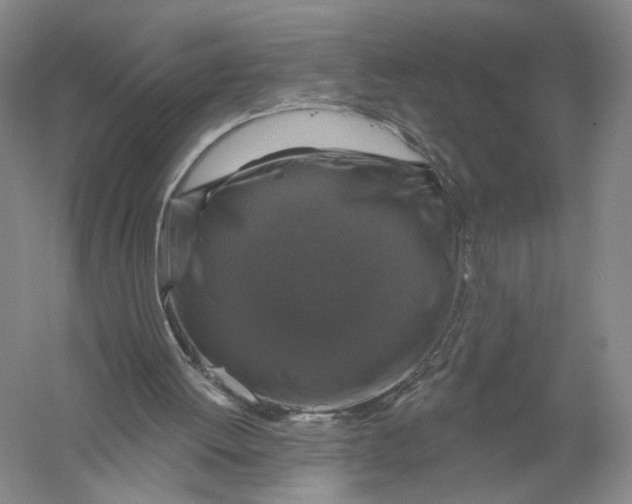 X0000056330052200509232023