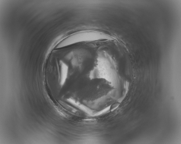 X0000056330053200509232023