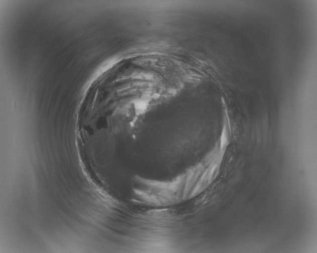 X0000056330054200509232023