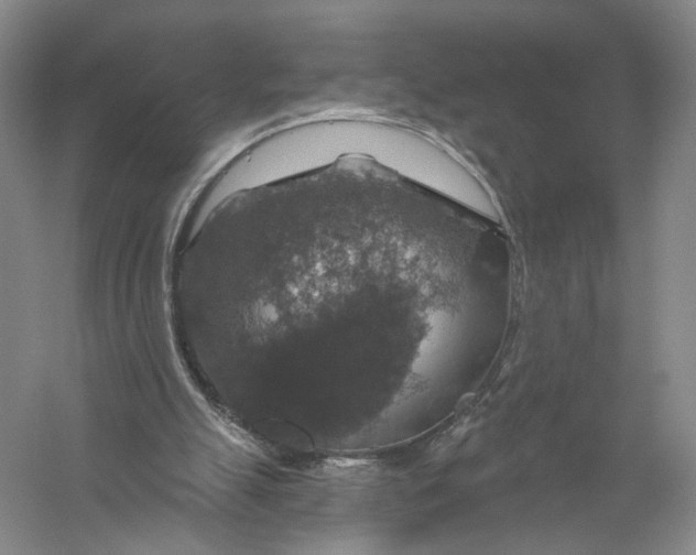 X0000056330055200509232023