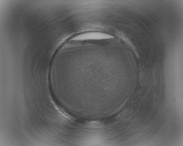 X0000056330058200509232023