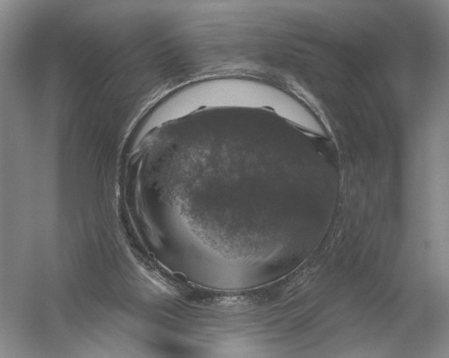 X0000056330059200509232023