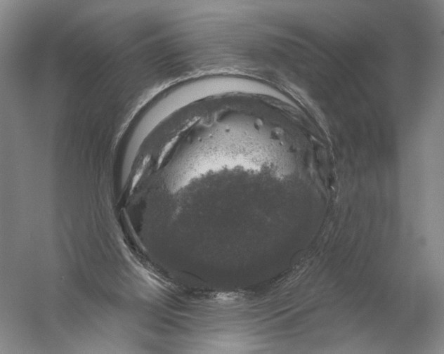 X0000056330060200509232024