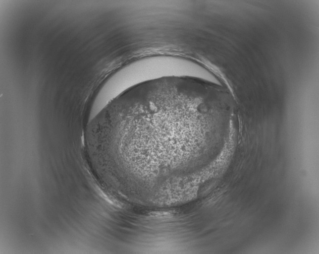 X0000056330061200509232024