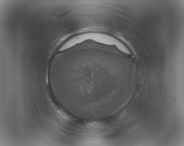 X0000056330062200509232024