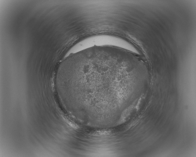 X0000056330065200509232024