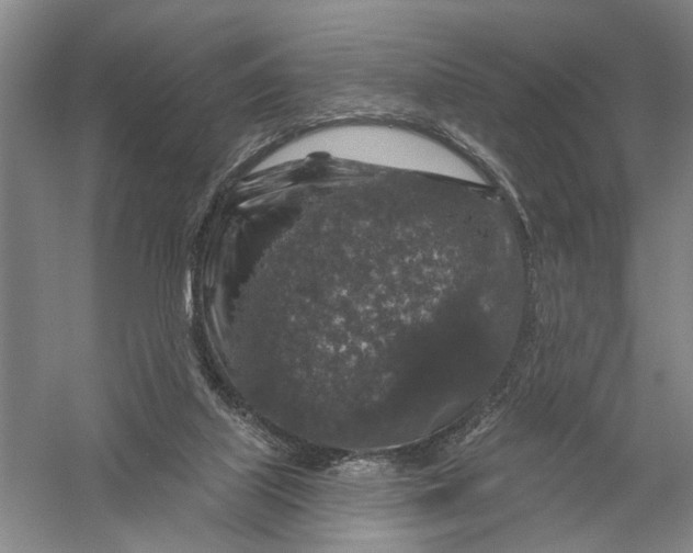 X0000056330067200509232024