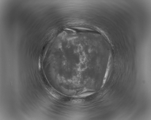 X0000056330069200509232024