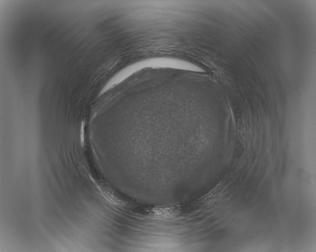 X0000056330070200509232024