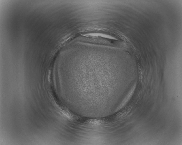 X0000056330071200509232024