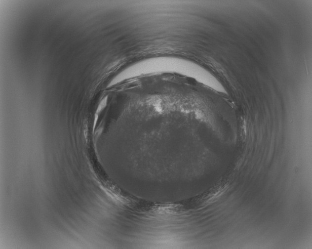 X0000056330072200509232024