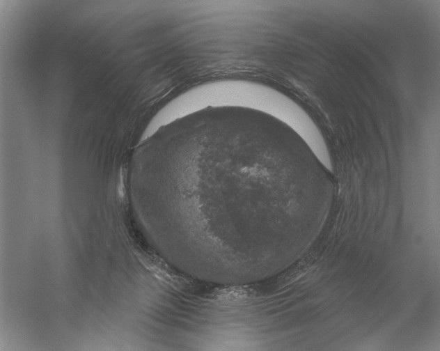 X0000056330075200509232024