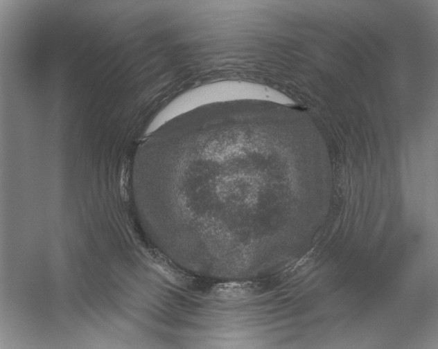 X0000056330082200509232024