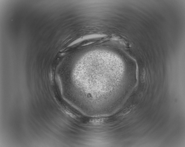 X0000056330084200509232024