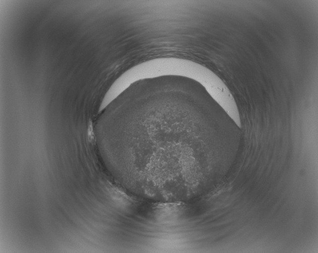 X0000056330089200509232024