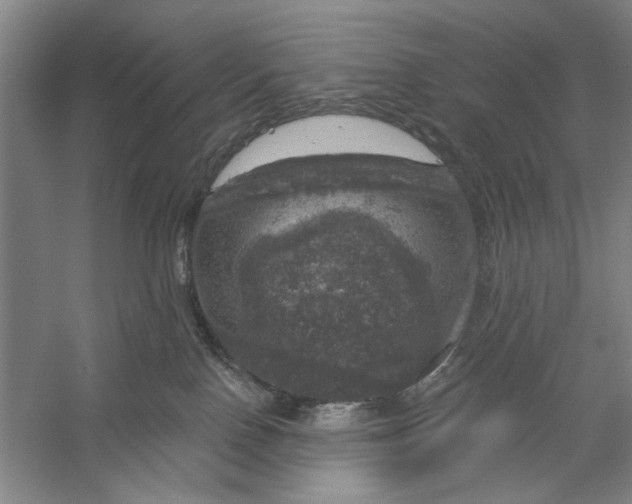 X0000056330090200509232024