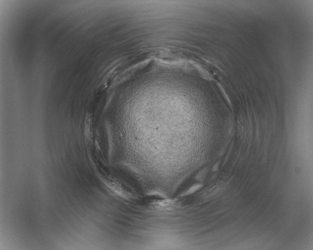 X0000056330092200509232024