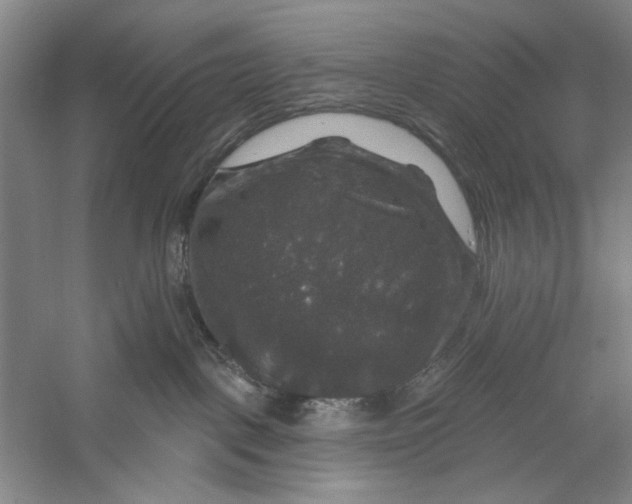 X0000056330093200509232024