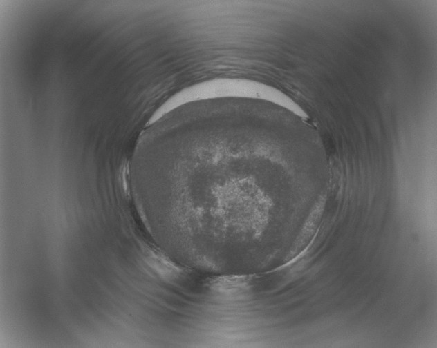 X0000056330094200509232024