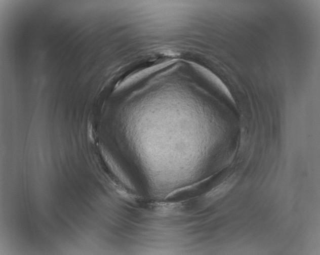 X0000056330096200509232024