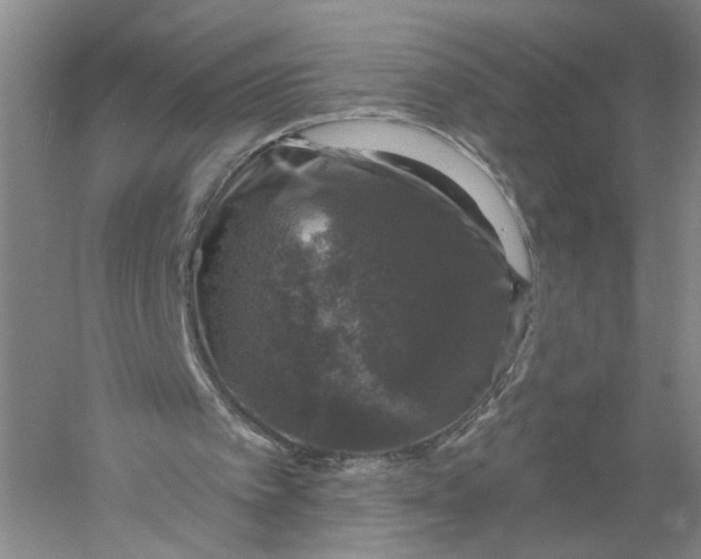 X0000056330097200509232023