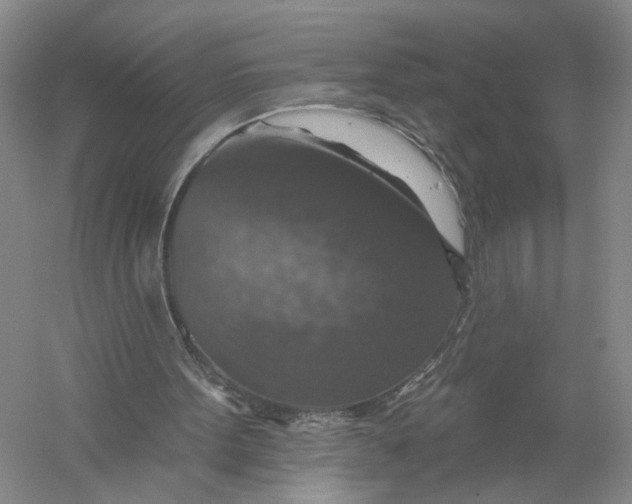 X0000056330099200509232023