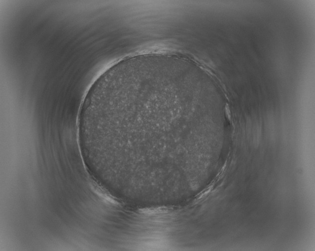 X0000056330100200509232023