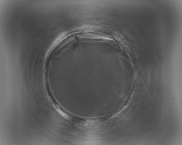 X0000056330101200509232023