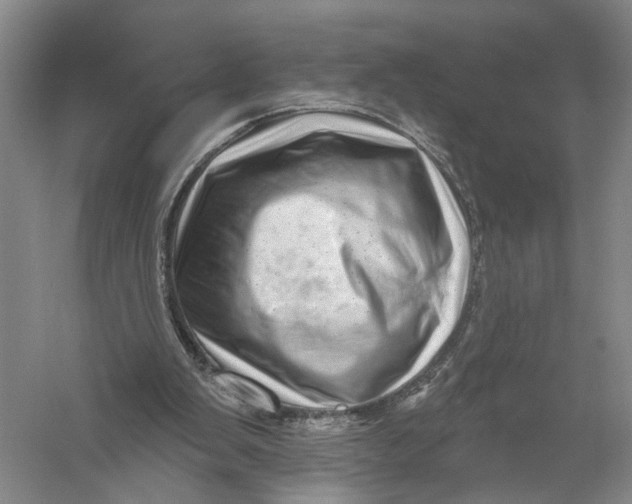 X0000056330103200509232023