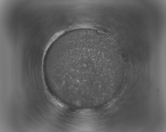 X0000056330104200509232023