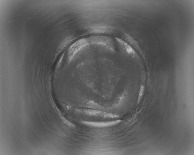 X0000056330106200509232023