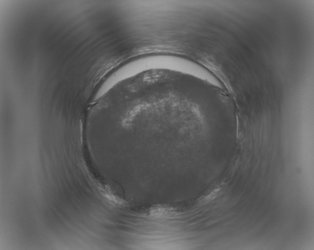 X0000056330109200509232023