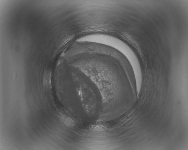 X0000056330115200509232023