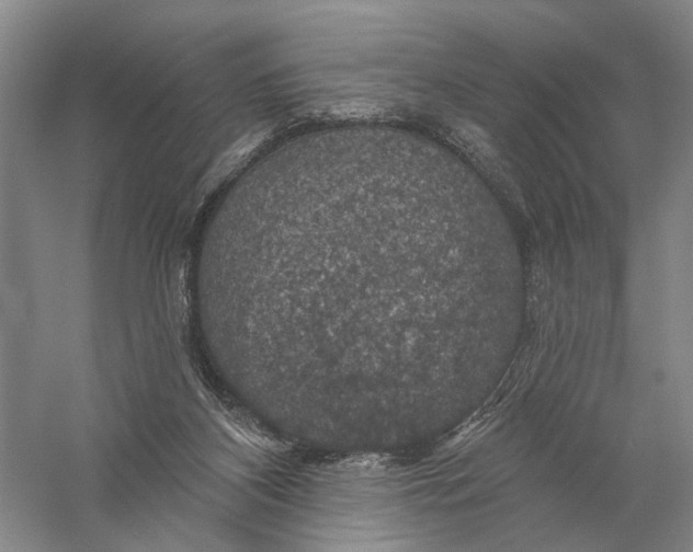 X0000056330116200509232023