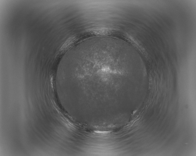 X0000056330117200509232023