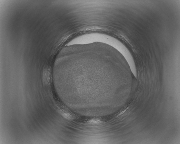 X0000056330119200509232023