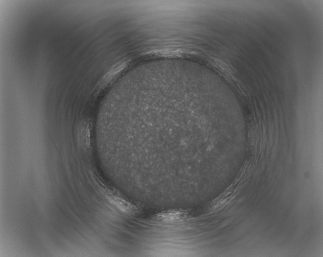 X0000056330120200509232023